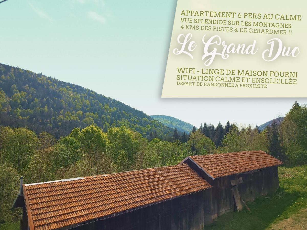 Le Grand Duc: Mountain View Apartment Near Gerardmer Rochesson Exterior photo