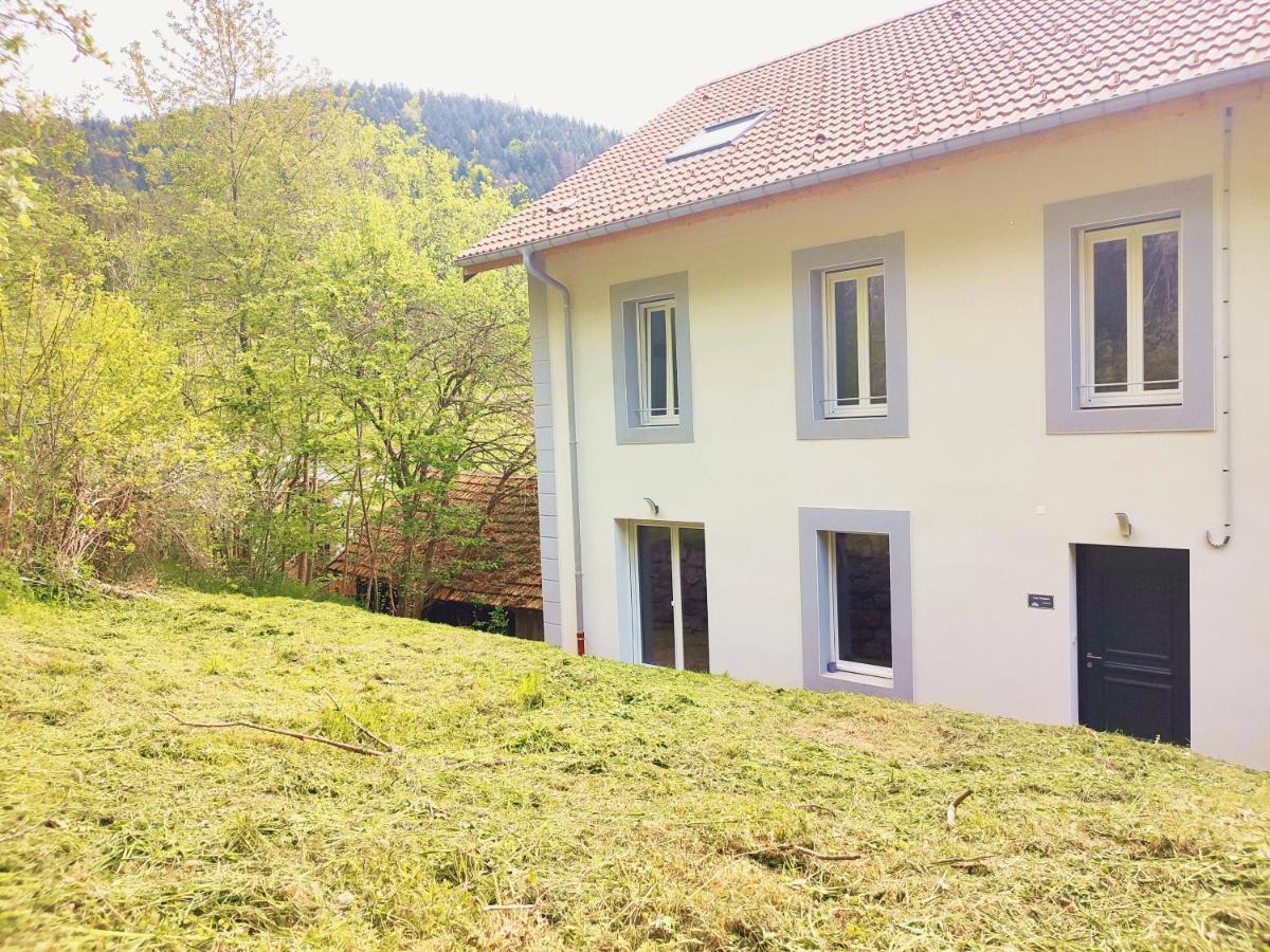 Le Grand Duc: Mountain View Apartment Near Gerardmer Rochesson Exterior photo